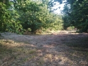 Satılır 50 sot torpaq Oğuz