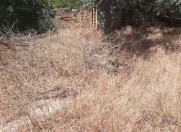 Satılır 7 sot torpaq Qara Qarayev m.