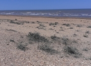 Satılır 25 sot torpaq Xızı