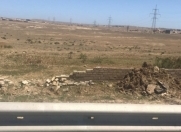 Satılır 500 sot torpaq Müşfiqabad