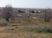 Satılır 24 sot torpaq Nardaran