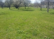 Satılır 90 sot torpaq Qəbələ