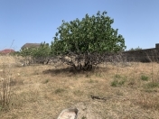 Satılır 12 sot torpaq Görədil