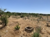 Satılır 25 sot torpaq Nardaran