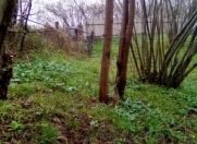 Satılır 46 sot torpaq Qəbələ