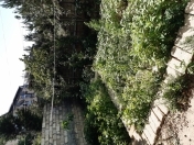 İcarəyə verilir 2 otaqlı 60 m2 həyət evi Badamdar