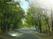 Satılır 3 otaqlı 65 m2 bağ evi Qax