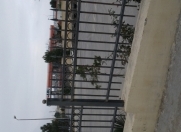 Satılır 4 sot torpaq Şıxov