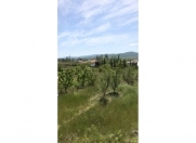 Satılır 40 sot torpaq Şabran