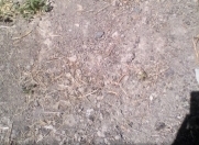 Satılır 2 sot torpaq Binəqədi