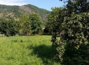 Satılır 150 sot torpaq Qəbələ