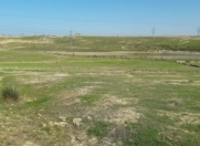 Satılır 86 sot torpaq Saray