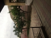 Satılır 5 otaqlı 151 m2 həyət evi Gəncə