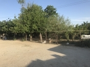 Satılır 4 otaqlı 300 m2 obyekt Salyan