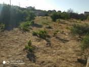 Satılır 2 otaqlı 0.12 m2 bağ evi Buzovna