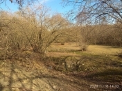 Satılır 28 sot torpaq Qəbələ