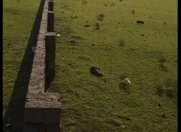 Satılır 52 sot torpaq Saray