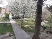 Satılır 5.3 sot torpaq Badamdar