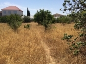 Satılır 16 sot torpaq Albalı