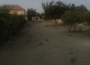 Satılır 12 sot torpaq Maştağa