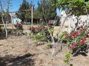 İcarəyə verilir 5 otaqlı 400 m2 bağ evi Buzovna