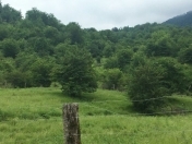 Satılır 8 sot torpaq Quba