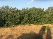 Satılır 1 otaqlı 100 m2 həyət evi Görədil