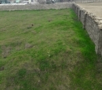 Satılır 1 sot torpaq Qobu