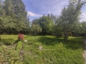 Satılır 9 sot torpaq Qəbələ