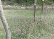 Satılır 11 sot torpaq Quba