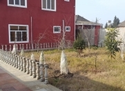 İcarəyə verilir 3 otaqlı 120 m2 həyət evi Astara