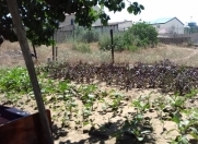 İcarəyə verilir 2 otaqlı 100 m2 həyət evi Şüvəlan