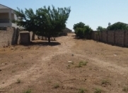 Satılır 14 sot torpaq Albalı