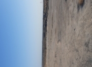 Satılır 500 sot torpaq Zirə