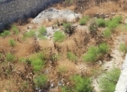 Satılır 4 sot torpaq Binə