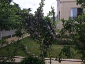 Satılır 9 otaqlı 540 m2 bağ evi Mərdəkan