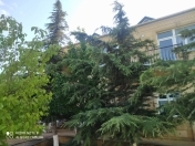 Satılır 7 otaqlı 360 m2 bağ evi Novxanı