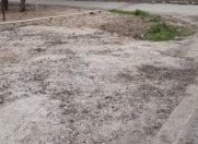 Satılır 24 sot torpaq Şirvan