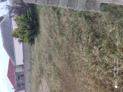 Satılır 6 sot torpaq Albalı