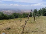 Satılır 6 sot torpaq Gəncə