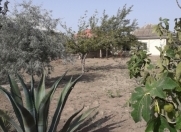 Satılır 3 otaqlı 1200 m2 bağ evi Şüvəlan