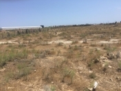 Satılır 2000 sot torpaq Zirə