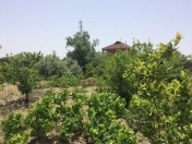 Satılır 5 otaqlı 2400 m2 bağ evi Görədil