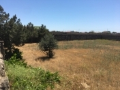 Satılır 7 sot torpaq Bilgəh