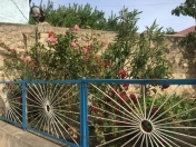 Satılır 10 sot torpaq Y.Ramana