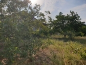 Satılır 16 sot torpaq Sumqayıt