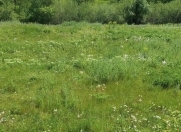 Satılır 10 sot torpaq Quba