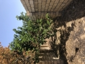 Satılır 6 sot torpaq Sumqayıt