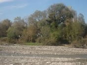 Satılır 8 sot torpaq Quba