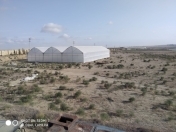 Satılır 15 otaqlı 10000 m2 obyekt Məhəmmədli